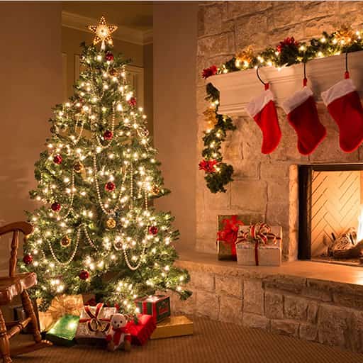 Christmas Show - Joy to The World Concerts in San Diego