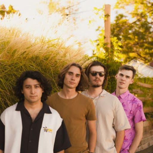 Flamingos in the Tree San Diego Tickets