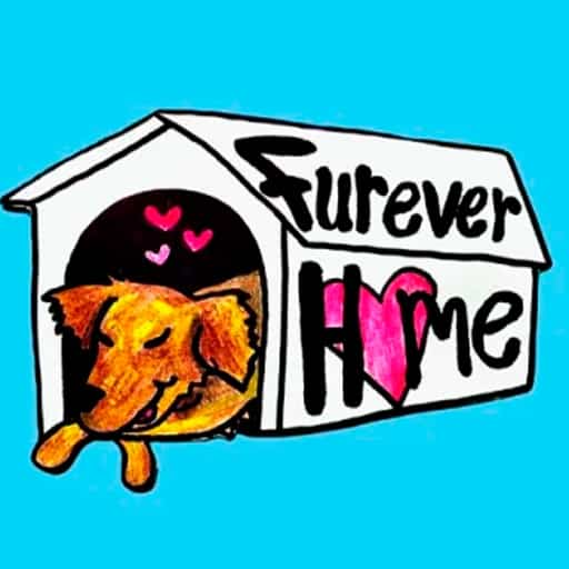 Furever Home San Diego Tickets