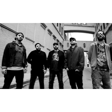 Giant Panda Guerilla Dub Squad Concerts in San Diego