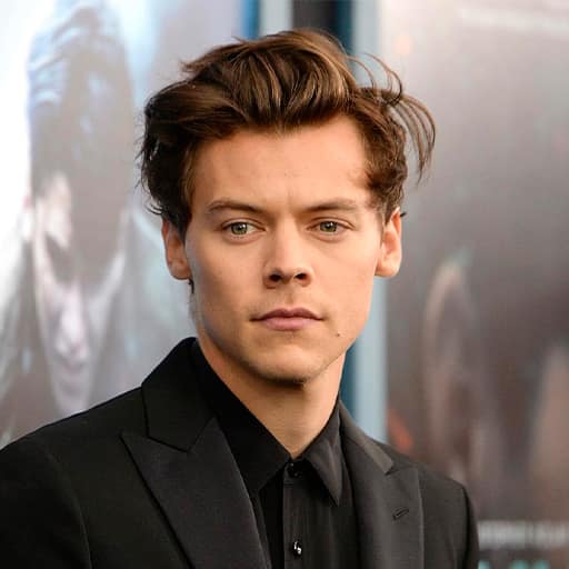 Harry Styles in San Diego