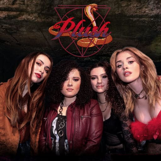 Plush Concerts in San Diego