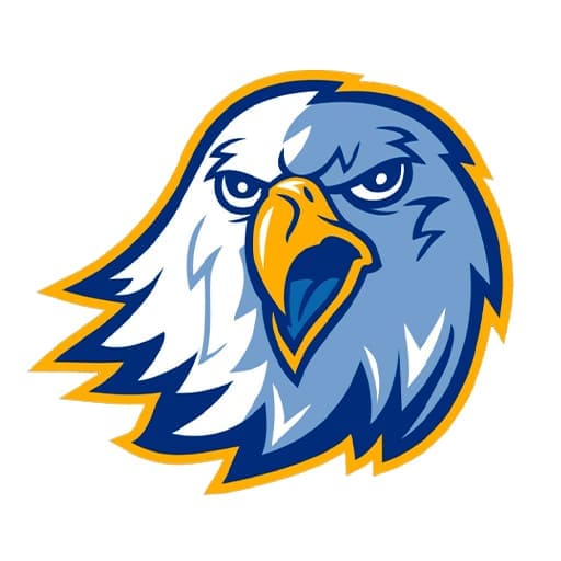 Reinhardt Eagles Basketball