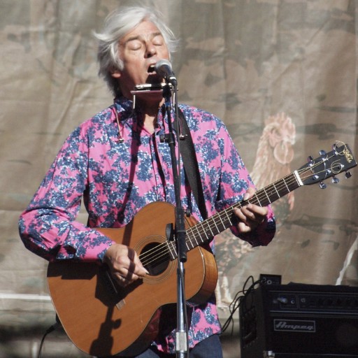 Robyn Hitchcock Concerts in San Diego