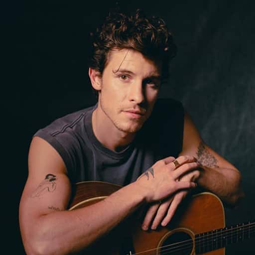 Shawn Mendes in San Diego