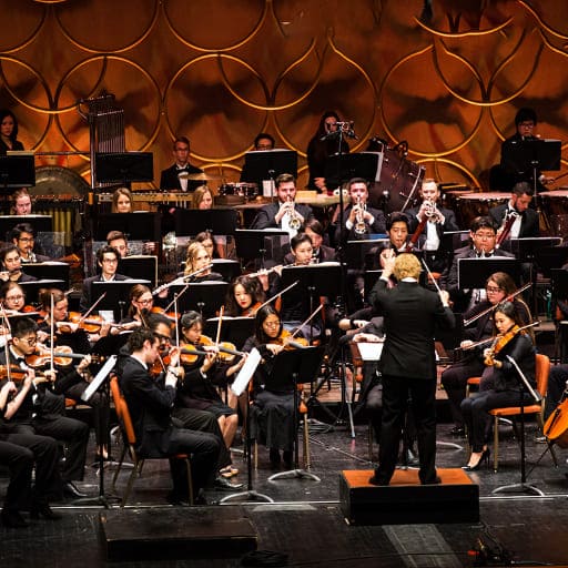 Sibelius First Symphony San Diego Tickets